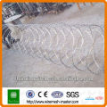 Razor wire fence